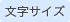 文字サイズ